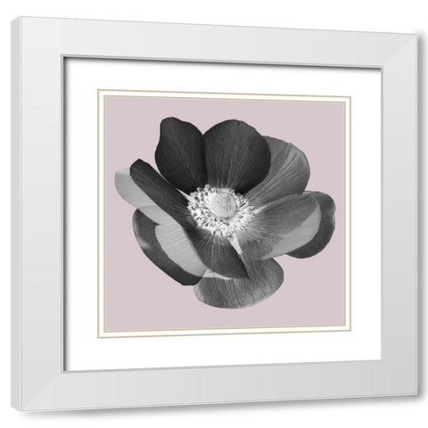 My Heart White Modern Wood Framed Art Print with Double Matting by Phillip, Jamie