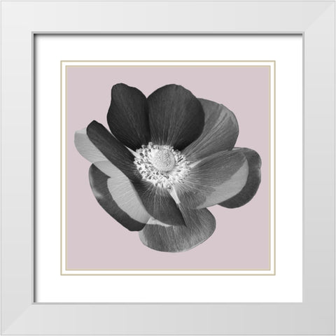 My Heart White Modern Wood Framed Art Print with Double Matting by Phillip, Jamie