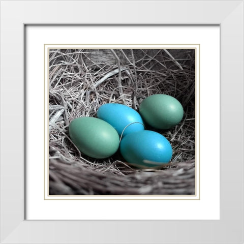 Blue Farm White Modern Wood Framed Art Print with Double Matting by Phillip, Jamie