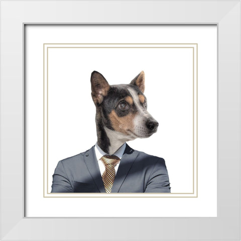 Ruff Top 3 White Modern Wood Framed Art Print with Double Matting by Phillip, Jamie