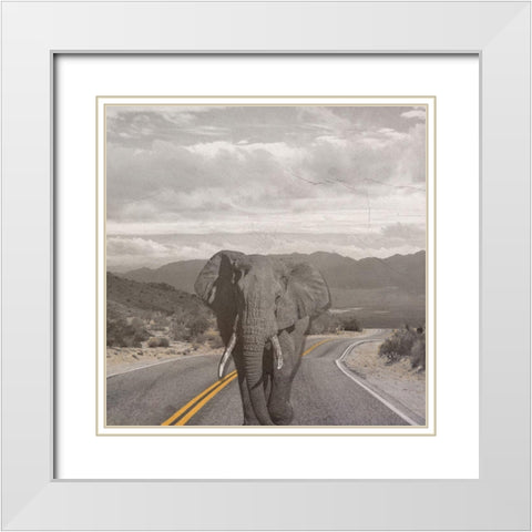 Safari Street White Modern Wood Framed Art Print with Double Matting by Phillip, Jamie