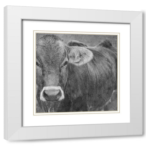 Bull White Modern Wood Framed Art Print with Double Matting by Phillip, Jamie