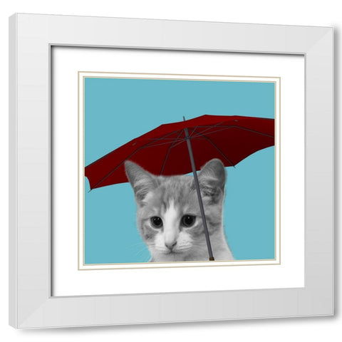 House Cat White Modern Wood Framed Art Print with Double Matting by Phillip, Jamie