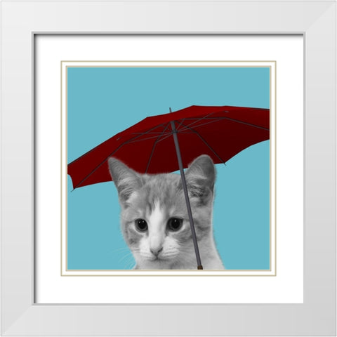 House Cat White Modern Wood Framed Art Print with Double Matting by Phillip, Jamie