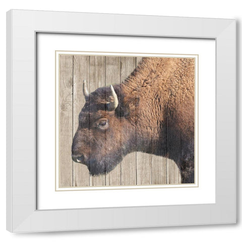 Buffalo Bison White Modern Wood Framed Art Print with Double Matting by Phillip, Jamie