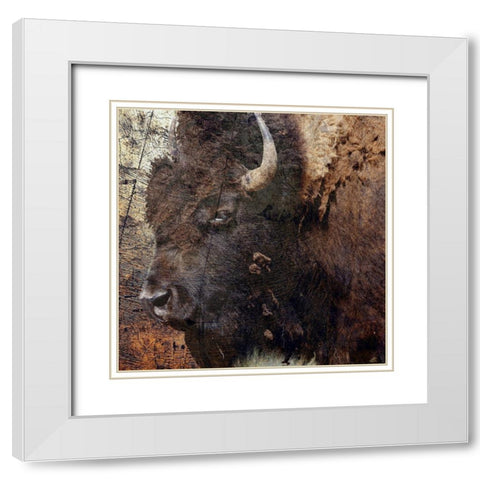 Mr.Buffalo White Modern Wood Framed Art Print with Double Matting by Phillip, Jamie