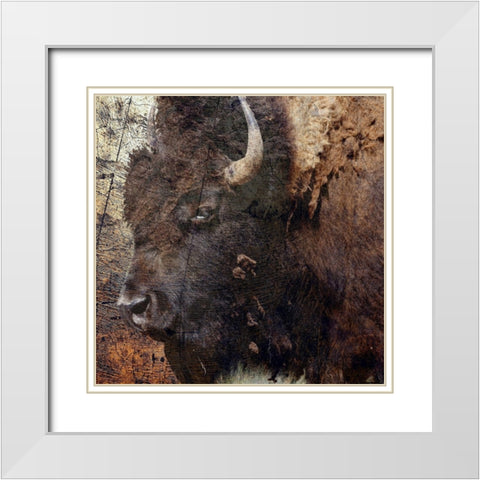 Mr.Buffalo White Modern Wood Framed Art Print with Double Matting by Phillip, Jamie