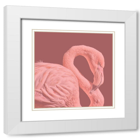 Flamingo White Modern Wood Framed Art Print with Double Matting by Phillip, Jamie