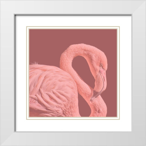 Flamingo White Modern Wood Framed Art Print with Double Matting by Phillip, Jamie