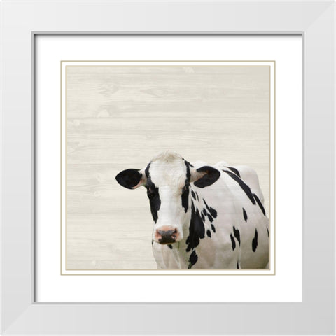 Moo White Modern Wood Framed Art Print with Double Matting by Phillip, Jamie