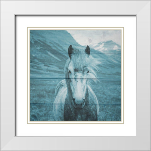 Roseta On The Farm White Modern Wood Framed Art Print with Double Matting by Phillip, Jamie