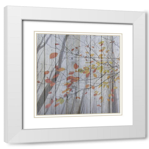 Fall Leaves White Modern Wood Framed Art Print with Double Matting by Phillip, Jamie