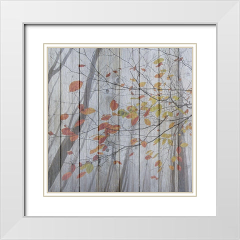 Fall Leaves White Modern Wood Framed Art Print with Double Matting by Phillip, Jamie