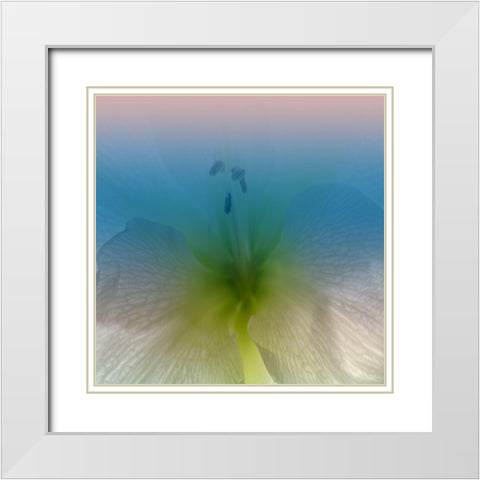 Xray White Modern Wood Framed Art Print with Double Matting by Phillip, Jamie