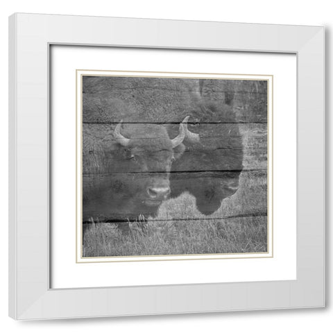 Bison White Modern Wood Framed Art Print with Double Matting by Phillip, Jamie