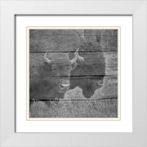 Bison White Modern Wood Framed Art Print with Double Matting by Phillip, Jamie