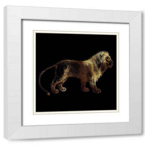 Lion White Modern Wood Framed Art Print with Double Matting by Phillip, Jamie