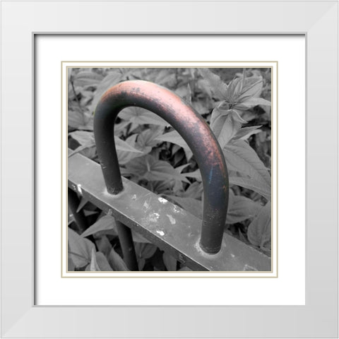 Brass 2 White Modern Wood Framed Art Print with Double Matting by Phillip, Jamie