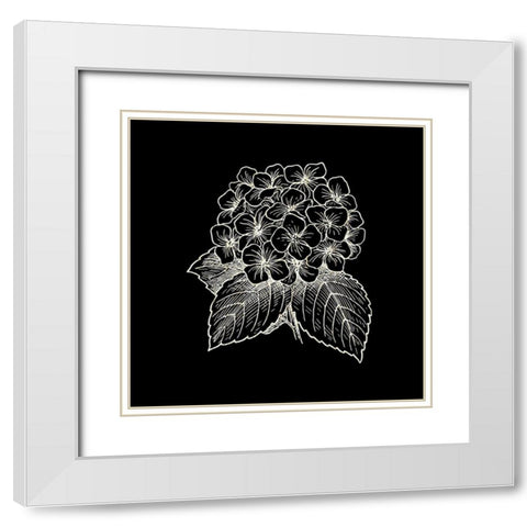 Black Silk 3 White Modern Wood Framed Art Print with Double Matting by Phillip, Jamie