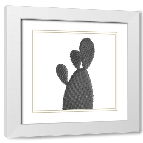 Black Cactus White Modern Wood Framed Art Print with Double Matting by Phillip, Jamie