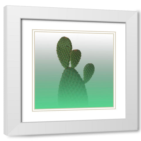 Green Cactus White Modern Wood Framed Art Print with Double Matting by Phillip, Jamie