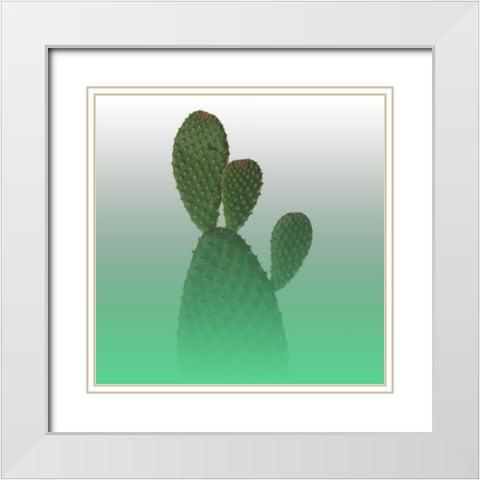 Green Cactus White Modern Wood Framed Art Print with Double Matting by Phillip, Jamie