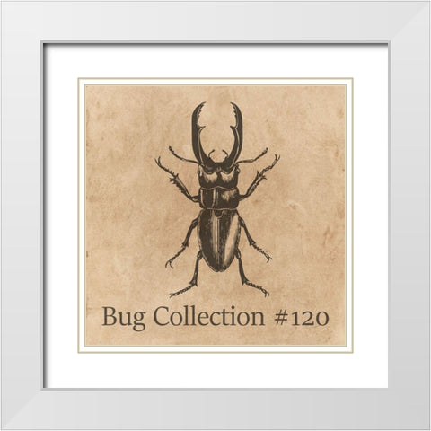 Special Collection 120 White Modern Wood Framed Art Print with Double Matting by Phillip, Jamie
