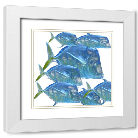 Fishes White Modern Wood Framed Art Print with Double Matting by Phillip, Jamie