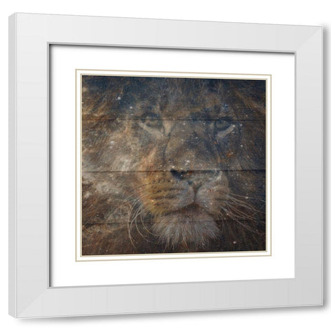 Leo White Modern Wood Framed Art Print with Double Matting by Phillip, Jamie