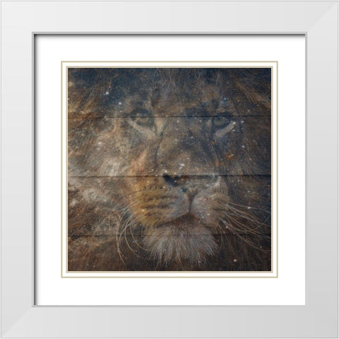 Leo White Modern Wood Framed Art Print with Double Matting by Phillip, Jamie