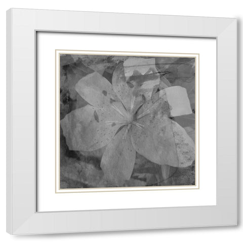 Love in The Garden 3 White Modern Wood Framed Art Print with Double Matting by Phillip, Jamie