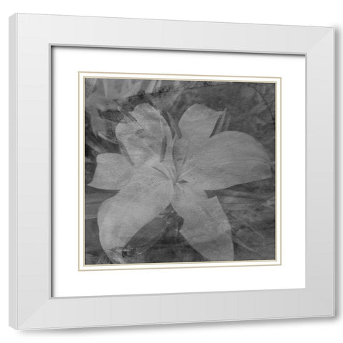 Love in The Garden 4 White Modern Wood Framed Art Print with Double Matting by Phillip, Jamie