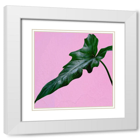 Leaf Me Up White Modern Wood Framed Art Print with Double Matting by Phillip, Jamie