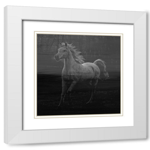 Misty Horse White Modern Wood Framed Art Print with Double Matting by