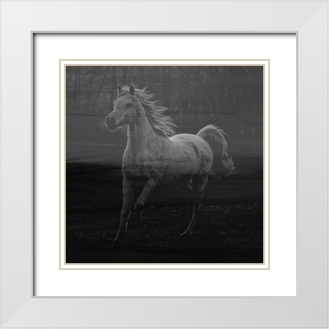 Misty Horse White Modern Wood Framed Art Print with Double Matting by