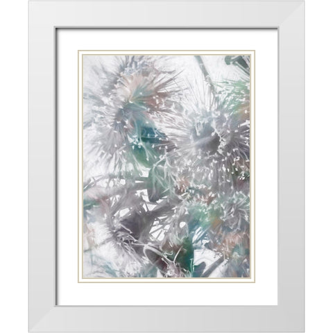 Flowering Gum II White Modern Wood Framed Art Print with Double Matting by Urban Road
