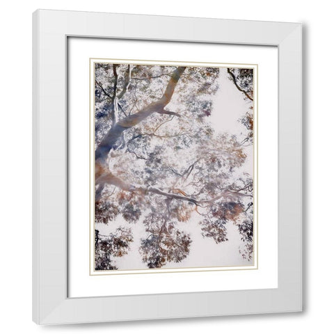 Whispering Jack II White Modern Wood Framed Art Print with Double Matting by Urban Road
