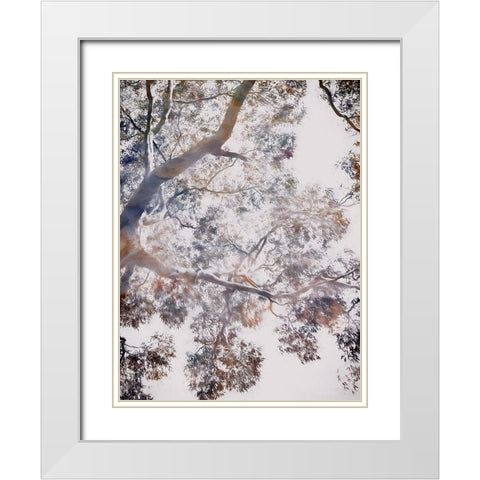 Whispering Jack II White Modern Wood Framed Art Print with Double Matting by Urban Road