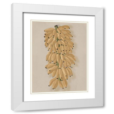 Platano I Clay White Modern Wood Framed Art Print with Double Matting by Urban Road