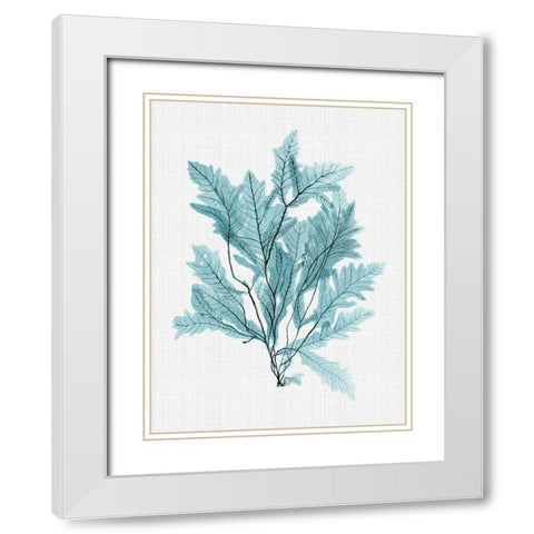 Aruba Turquoise Poster White Modern Wood Framed Art Print with Double Matting by Urban Road