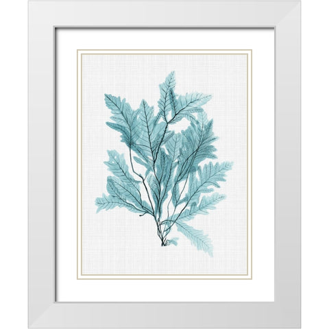 Aruba Turquoise Poster White Modern Wood Framed Art Print with Double Matting by Urban Road