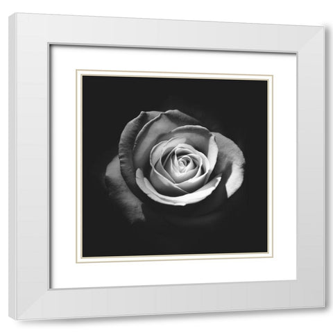 At Last Poster White Modern Wood Framed Art Print with Double Matting by Urban Road