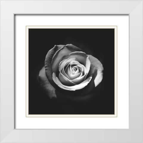 At Last Poster White Modern Wood Framed Art Print with Double Matting by Urban Road