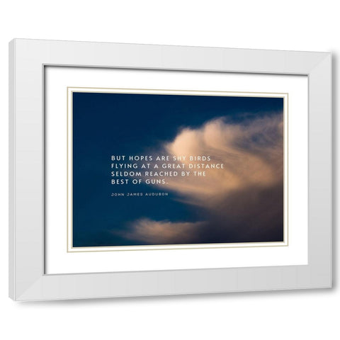 John James Audubon Quote: Shy Birds Flying White Modern Wood Framed Art Print with Double Matting by ArtsyQuotes