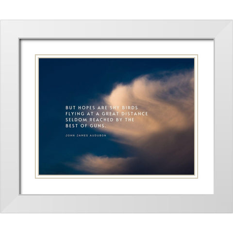 John James Audubon Quote: Shy Birds Flying White Modern Wood Framed Art Print with Double Matting by ArtsyQuotes