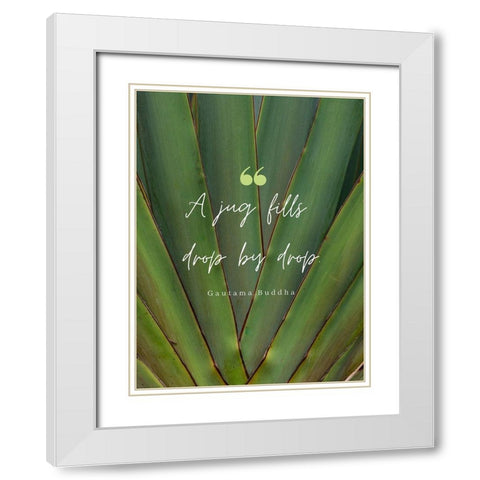 Gautama Buddha Quote: Drop by Drop White Modern Wood Framed Art Print with Double Matting by ArtsyQuotes
