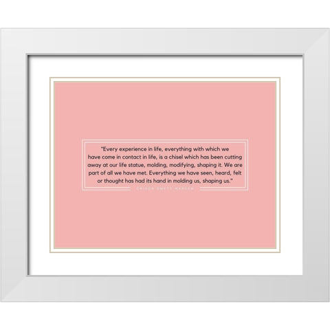 Orison Swett Marden Quote: Experience in Life White Modern Wood Framed Art Print with Double Matting by ArtsyQuotes