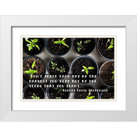 Robert Louis Stevenson Quote: Dont Judge White Modern Wood Framed Art Print with Double Matting by ArtsyQuotes