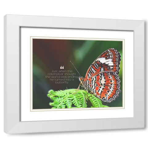 Artsy Quotes Quote: Turned into a Butterfly White Modern Wood Framed Art Print with Double Matting by ArtsyQuotes
