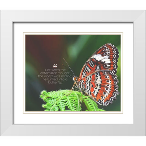 Artsy Quotes Quote: Turned into a Butterfly White Modern Wood Framed Art Print with Double Matting by ArtsyQuotes
